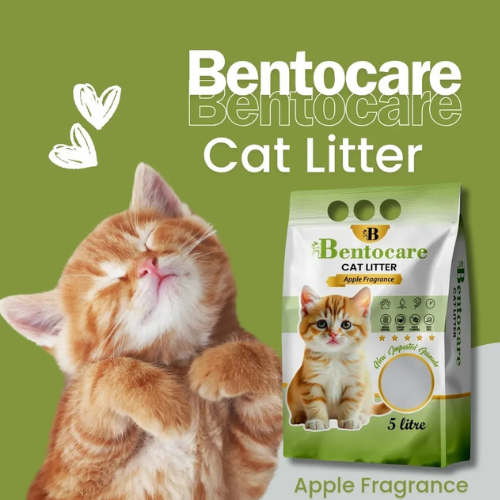 Bentocare Cat Litter  Scented Litter for Cats- Dust Free- Clumping Cat Litter - Apple Scented -Lavender Scented Cat Litter