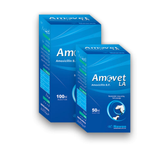 Amovet LA Injection 100ML