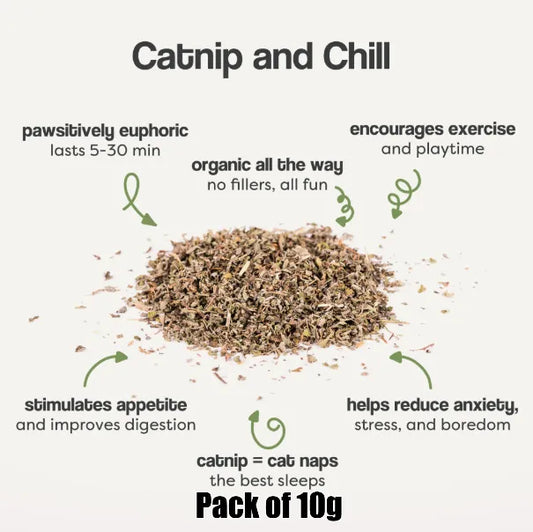CATNIP IMPORTED - BEST FOR ALL CAT - SPECIALLY AGGRESSIVE CATS