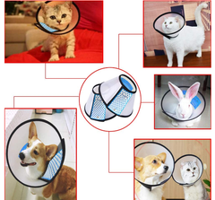 E collar For Dogs/Cat Plastic Cone for Dogs After Surgery