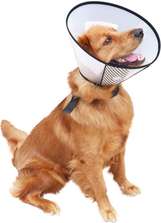 E collar For Dogs/Cat Plastic Cone for Dogs After Surgery