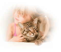 Bonacibo Adult Cat Light & Sterilised Premium Cat Food 2 Kg