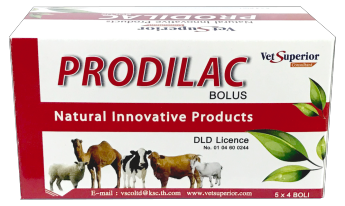 PRODILAC POWDER