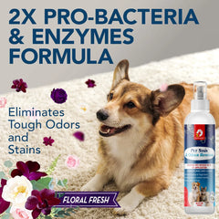 Fluff n Buff Pet Stain & Odour Remover 300 Ml