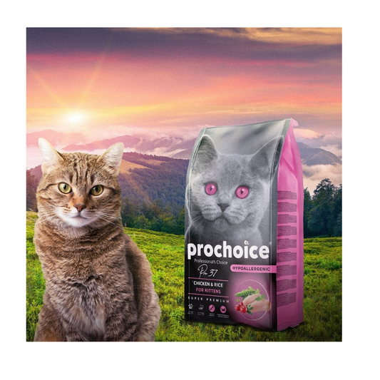 Pro-Choice Cat food For Cat 330 Gram