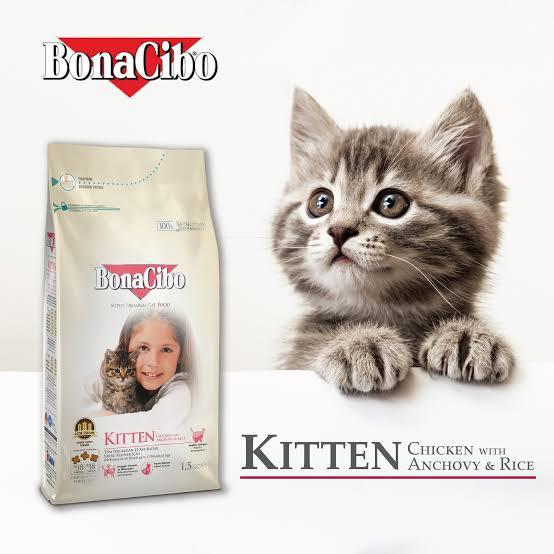 Bonacibo Kitten 1.5kg. Exp:2026
