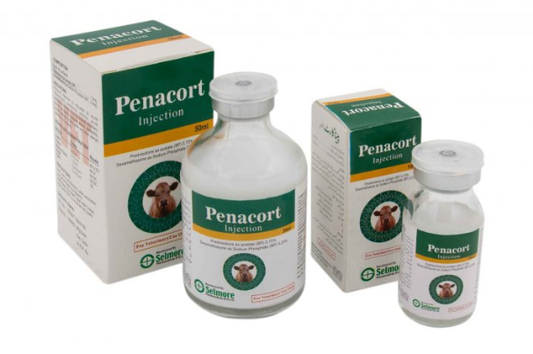 Penacort injection 10 ml buy online in Pakistan