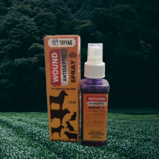 Tayyab Wound Antiseptic Spray 120ml