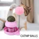 Catnip Stickers Rotatable Cat Licking Balls Edible And Healthy With Spring Ball Catnip Bubbles Lickables For Cats Catnip Ball Toy