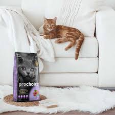 Pro-Choice Cat food For Cat 330 Gram