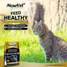Nourvet Cat Food