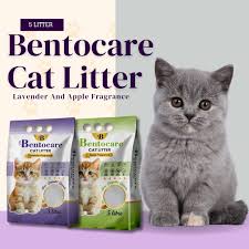 Bentocare Cat Litter  Scented Litter for Cats- Dust Free- Clumping Cat Litter - Apple Scented -Lavender Scented Cat Litter