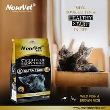 Nourvet Cat Food