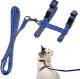 Adjustable Cat Harness Nylon Strap Collar with Leash In Multicolor soft quality