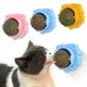 Cat Mint Ball, Catnip Balls Toy for Cats Treat Toy Wall Ball for Indoor Cat Chew, Rotatable Edible Kitten Chew Toys Safe Healthy Cat Wall Treats for Kitten