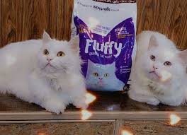 Fluffy Cat Food 1. 2KG