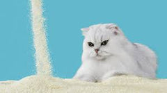 Wonder Cat Litter Deodorized 5 L