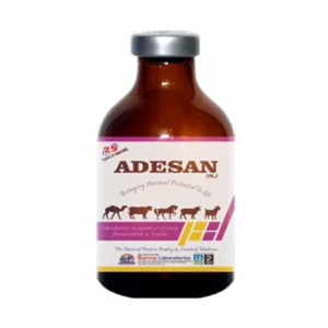 ADESAN INJ 100ML