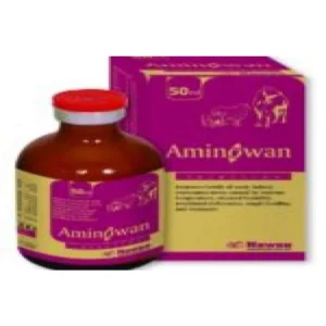 AMINOWAN INJ 100ML