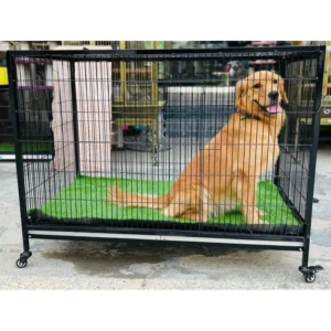 Cage Iron