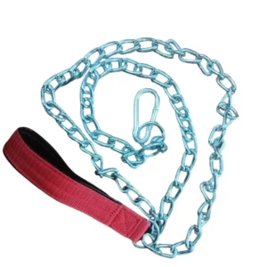 CHAIN LEASH-1
