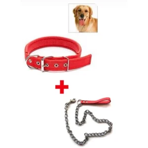 CHAIN LEASH-2