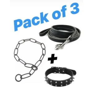 CHAIN LEASH-3