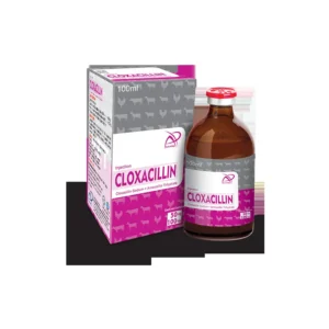 CLOXIL-A INJ 50ML