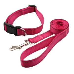 COLLAR GOOD QUALITY