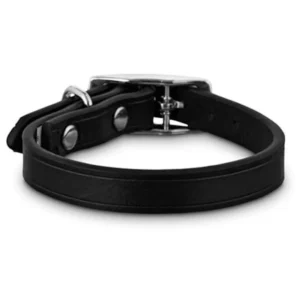 DOG LEATHER COLLAR-M