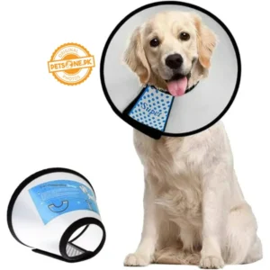 E-COLLAR #7