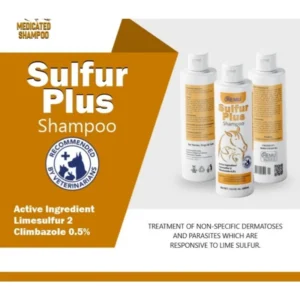F&B SULPHER+ MEDICATED SHAMPOO 300ML