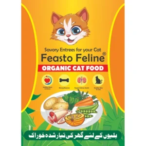 FEASTO FELINE ORGANIC CF 70GM