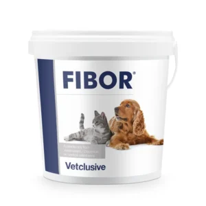 FIBRO VET PLUS