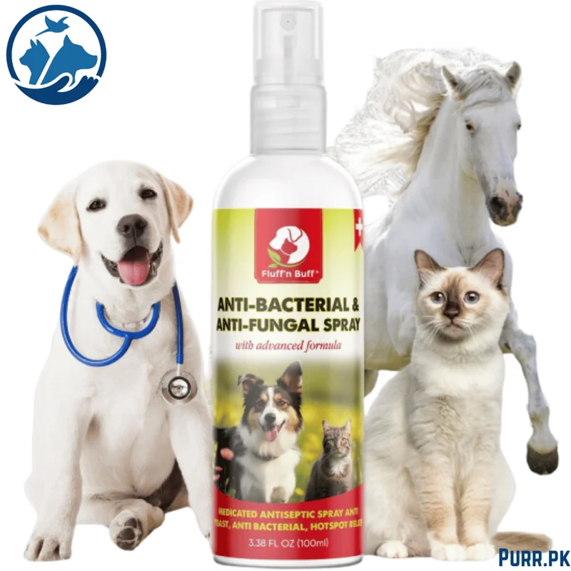 FNB ANTI-FUNGAL SPRAY 100ML