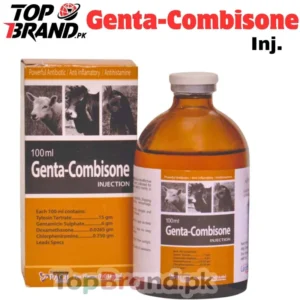 GENTA-COMBISONE INJ-10ML