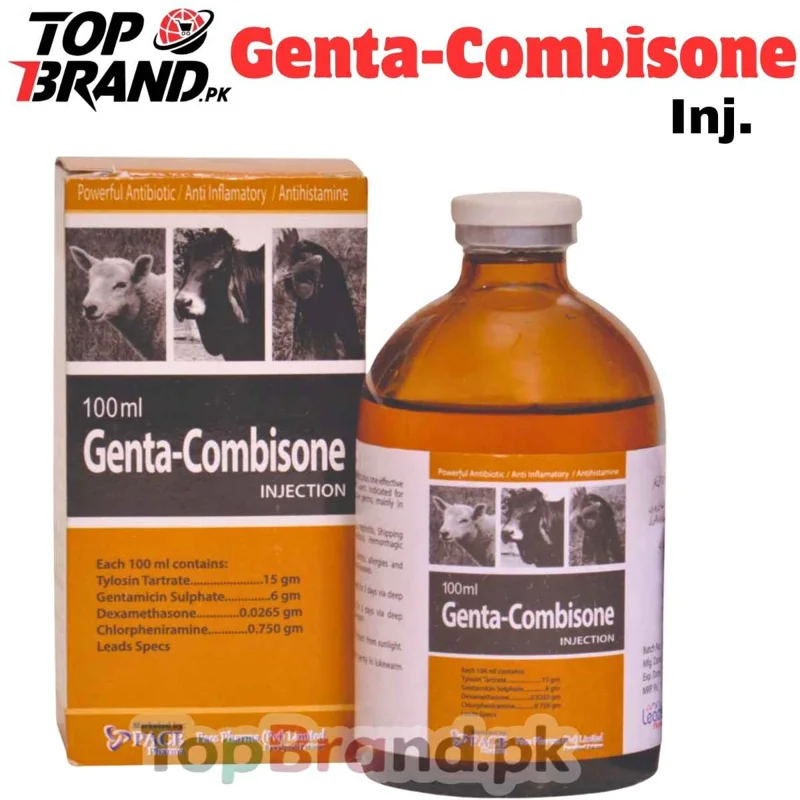 GENTA-COMBISONE INJ-10ML