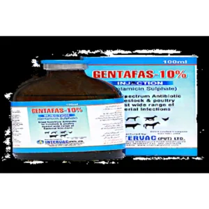 GENTAMICIN 10% INJ-100ML