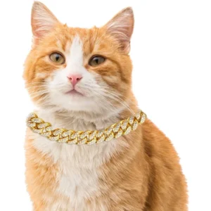 GOLDEN CAT CHAIN