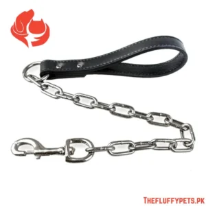 HEAVY CHAIN LEASH