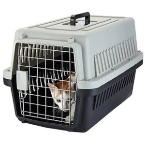 JET BOX IMPO BLACK MEDIUM