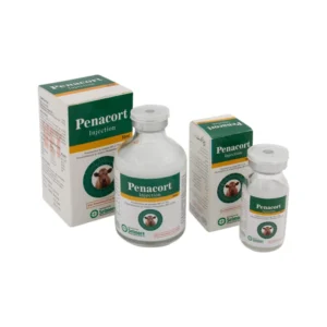 Penacort Inj 10ml