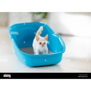 Yousn Pet Litter 10L